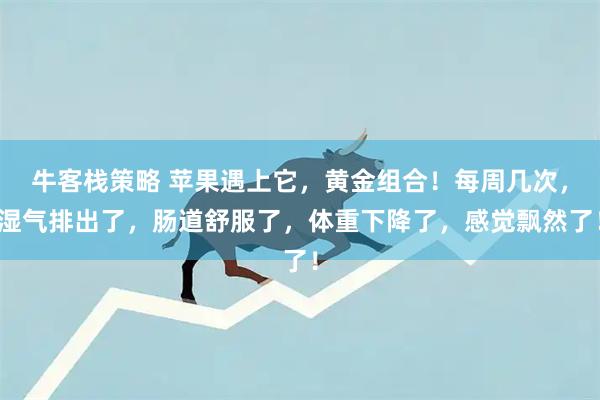 牛客栈策略 苹果遇上它，黄金组合！每周几次，湿气排出了，肠道舒服了，体重下降了，感觉飘然了！