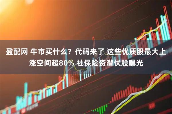 盈配网 牛市买什么？代码来了 这些优质股最大上涨空间超80% 社保险资潜伏股曝光