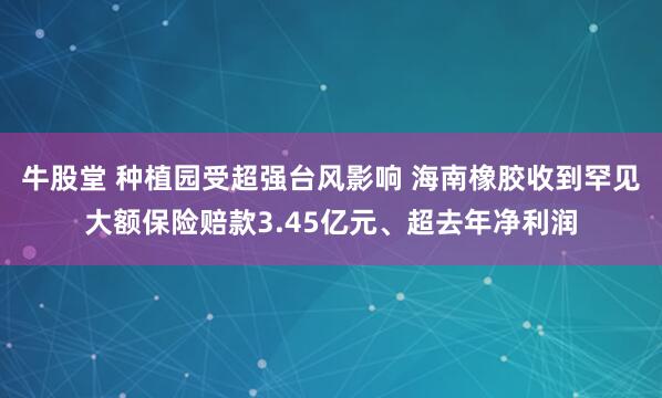 牛股堂 种植园受超强台风影响 海南橡胶收到罕见大额保险赔款3.45亿元、超去年净利润