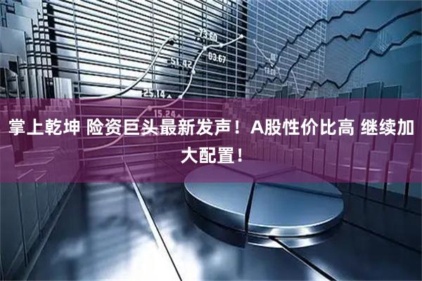 掌上乾坤 险资巨头最新发声！A股性价比高 继续加大配置！