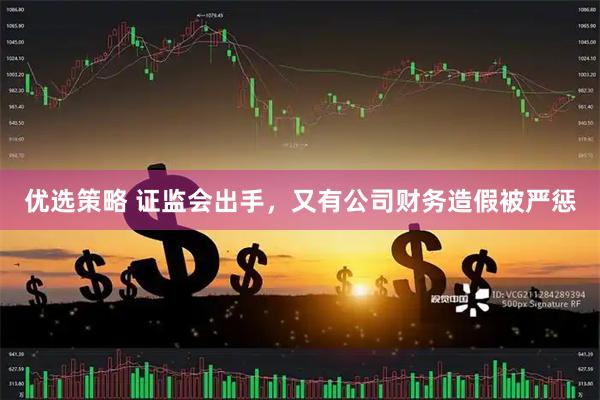优选策略 证监会出手，又有公司财务造假被严惩