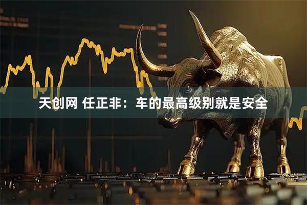 天创网 任正非：车的最高级别就是安全