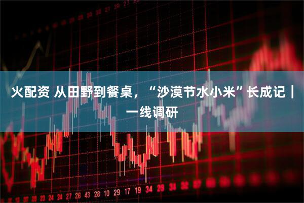 火配资 从田野到餐桌，“沙漠节水小米”长成记｜一线调研