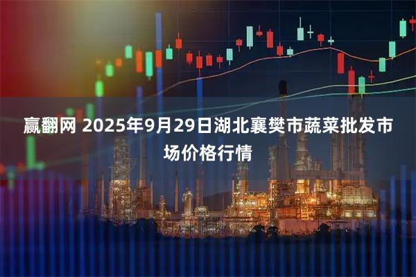 赢翻网 2025年9月29日湖北襄樊市蔬菜批发市场价格行情