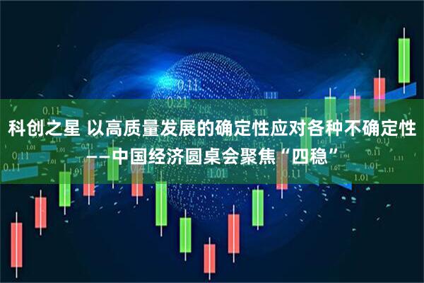 科创之星 以高质量发展的确定性应对各种不确定性——中国经济圆桌会聚焦“四稳”