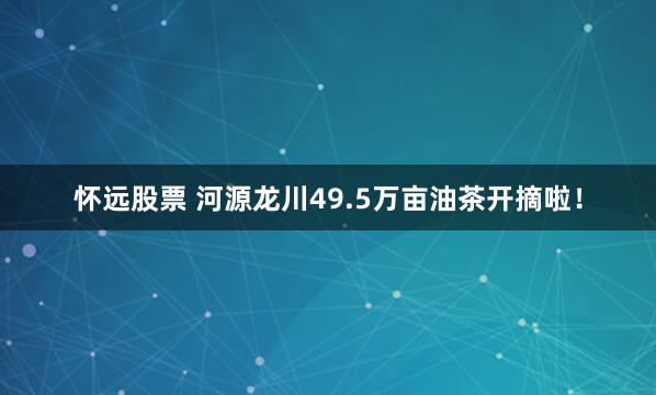 怀远股票 河源龙川49.5万亩油茶开摘啦！