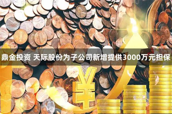 鼎金投资 天际股份为子公司新增提供3000万元担保
