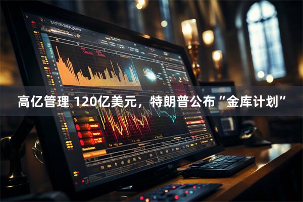 高亿管理 120亿美元，特朗普公布“金库计划”