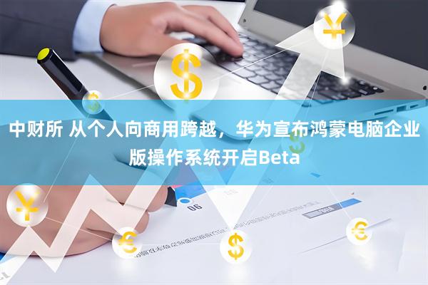 中财所 从个人向商用跨越，华为宣布鸿蒙电脑企业版操作系统开启Beta