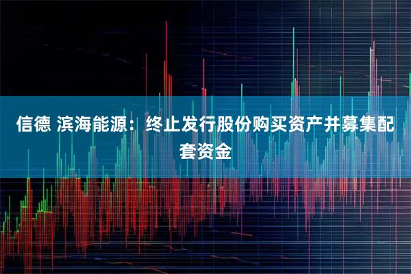 信德 滨海能源：终止发行股份购买资产并募集配套资金