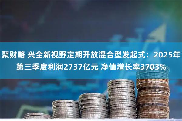 聚财略 兴全新视野定期开放混合型发起式：2025年第三季度利润2737亿元 净值增长率3703%