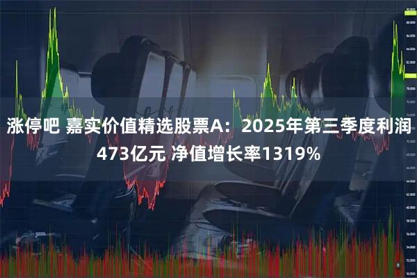涨停吧 嘉实价值精选股票A：2025年第三季度利润473亿元 净值增长率1319%