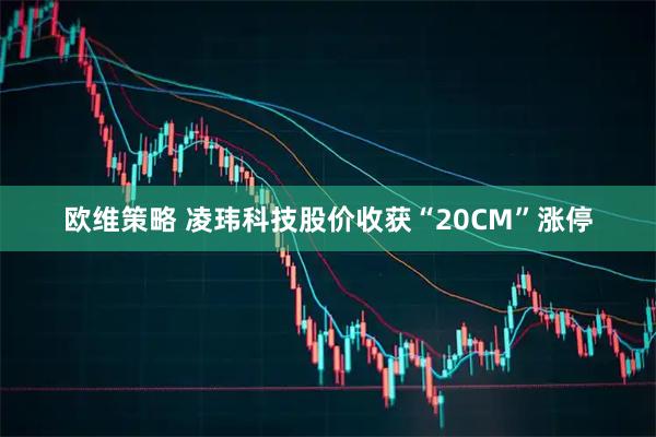 欧维策略 凌玮科技股价收获“20CM”涨停